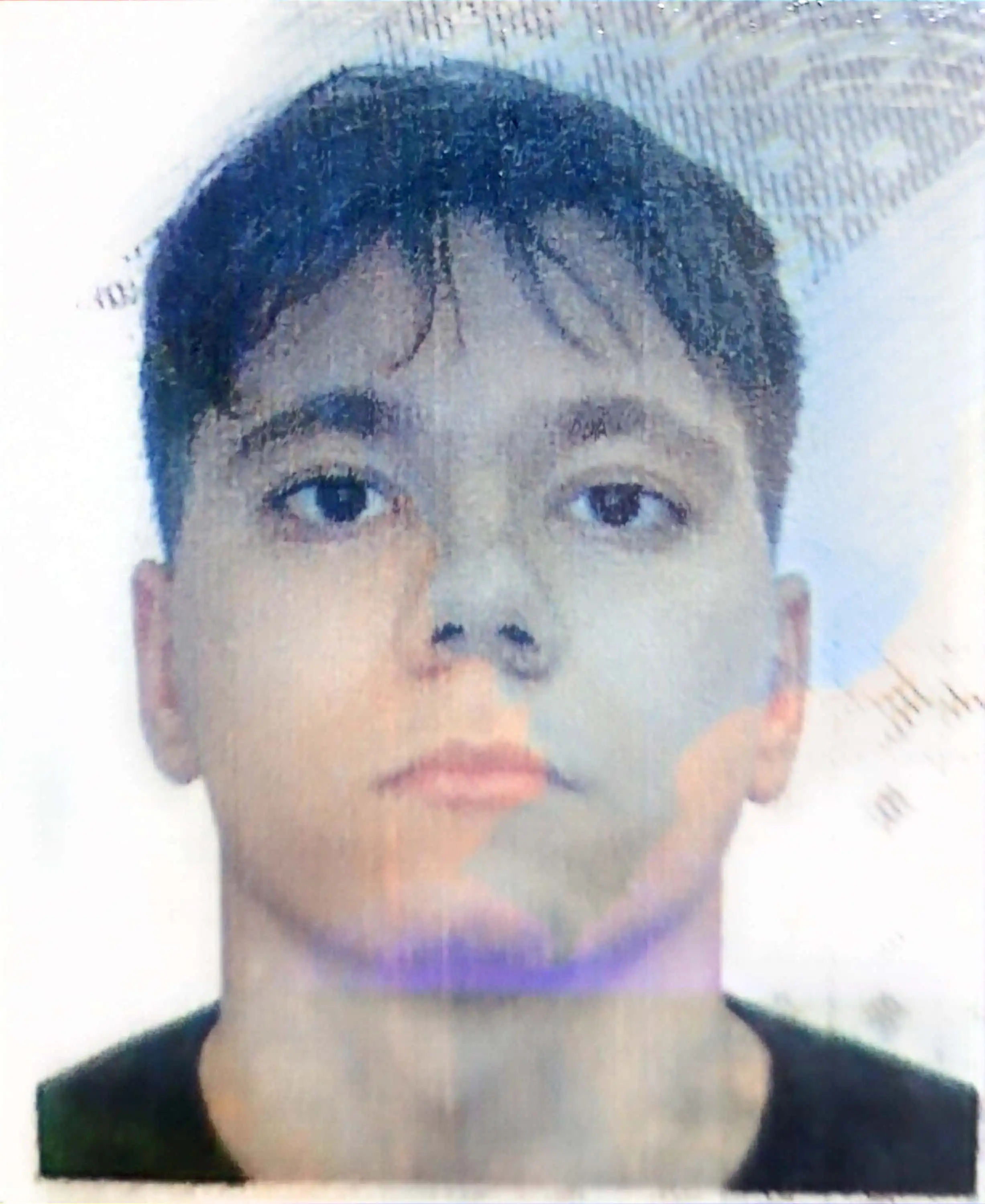 Vinícius Buzaneli Capovilla