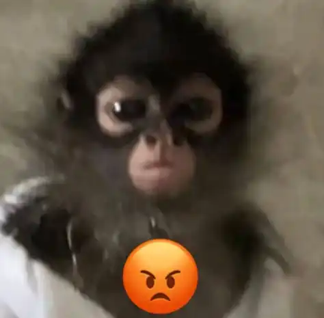 Mauriciocunhadesouza